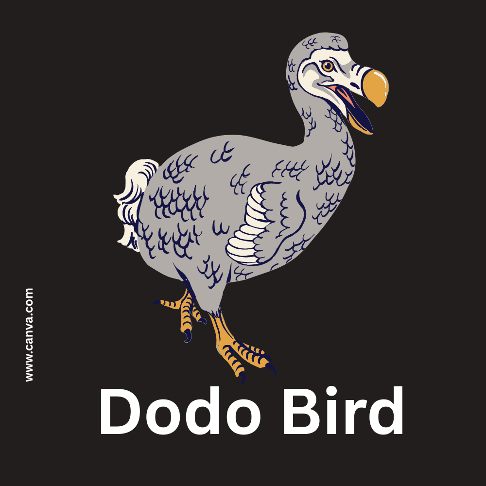 Dodo Bird