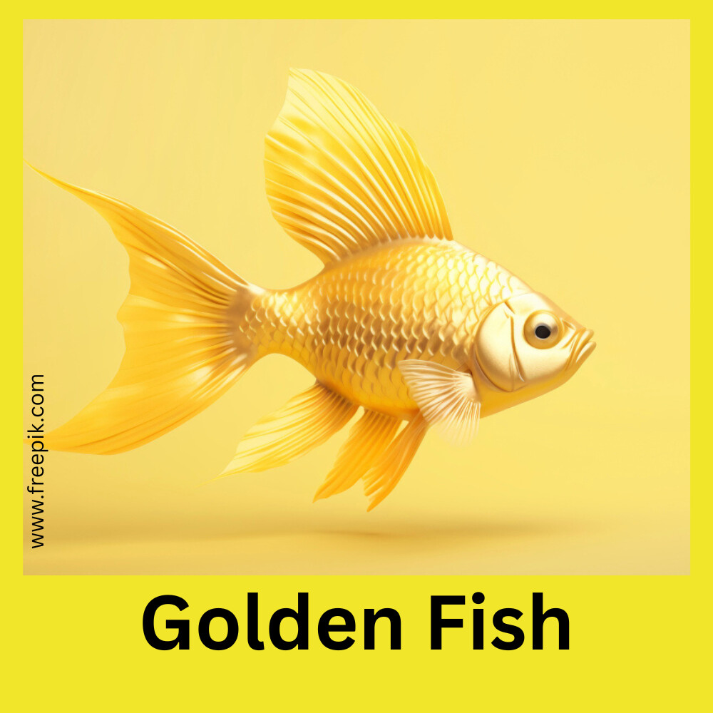 Golden Fish