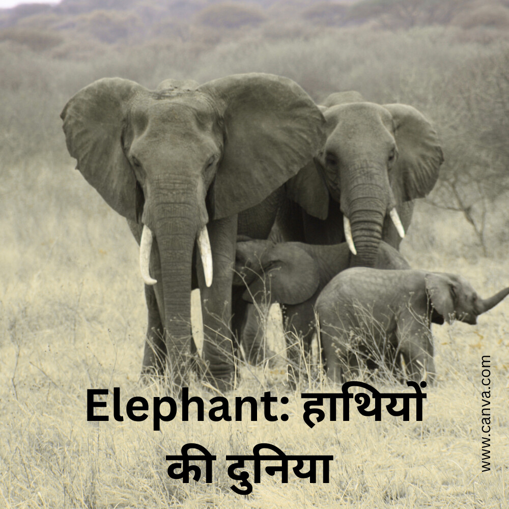 Elephant: हाथियों की दुनिया