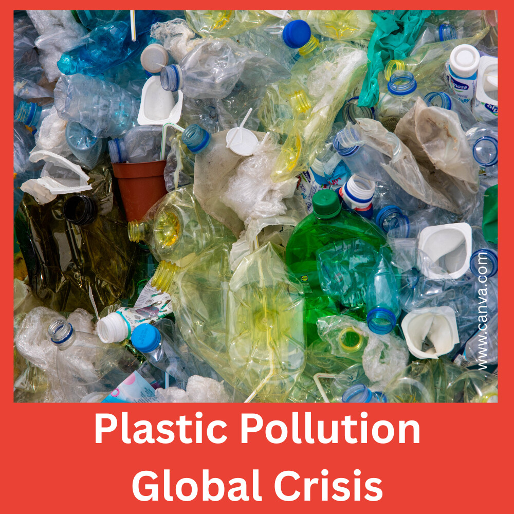 Plastic Pollution Global Crisis