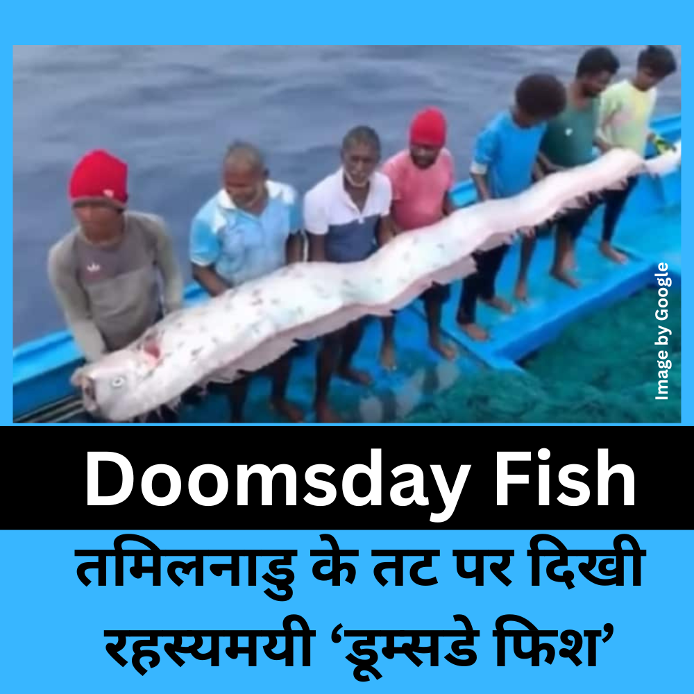 Doomsday Fish