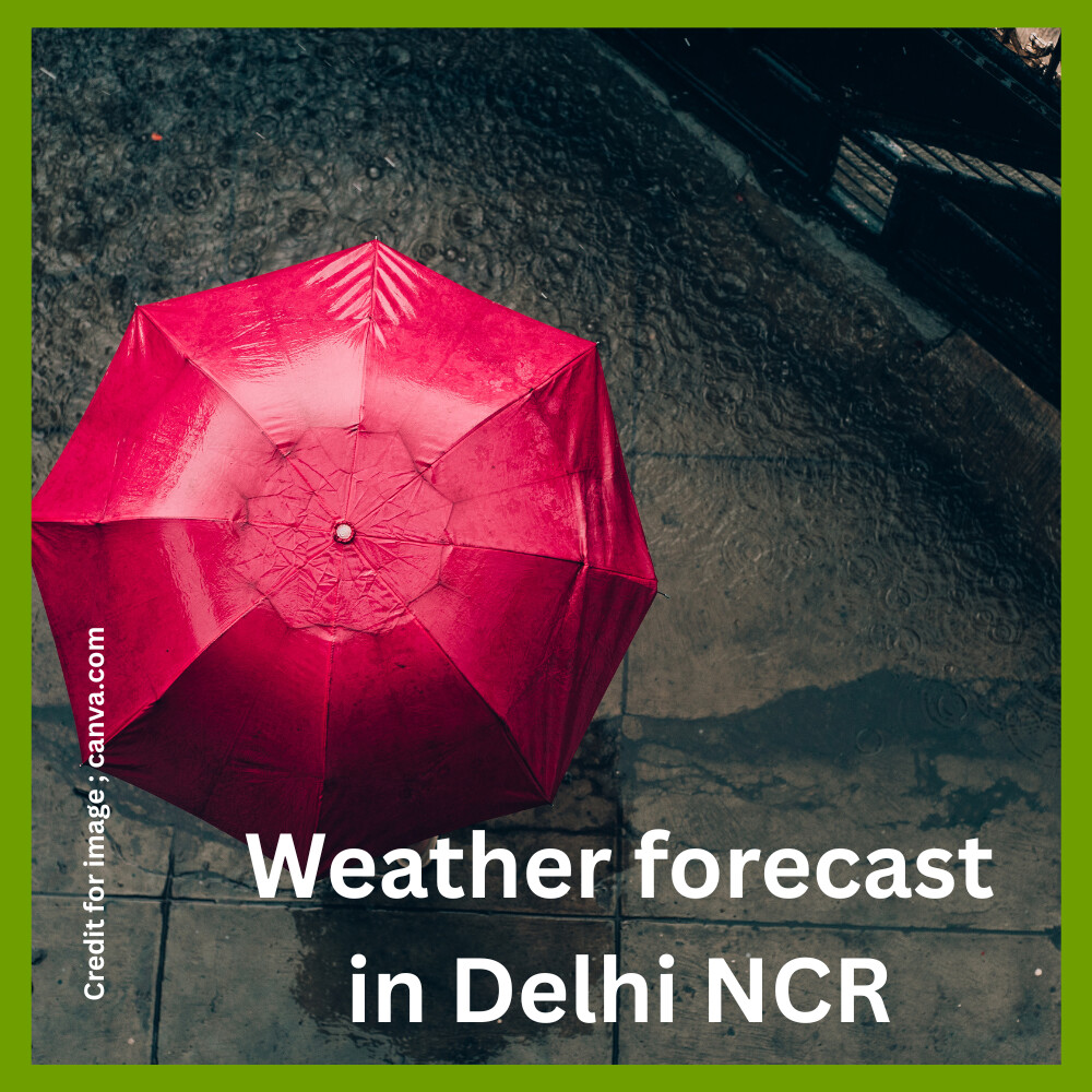 Weather forecast in Delhi NCR