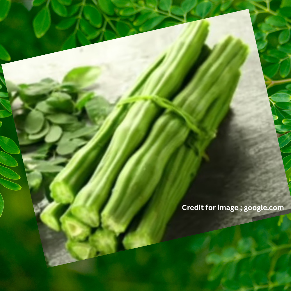 Nature Gift Moringa Health Benefits-Prakriti Darshan Nature and Environment Magazine