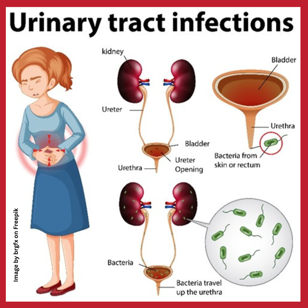 Home Remedies for UTI.
Prakriti Darshan-Nature and Environment Magazine .