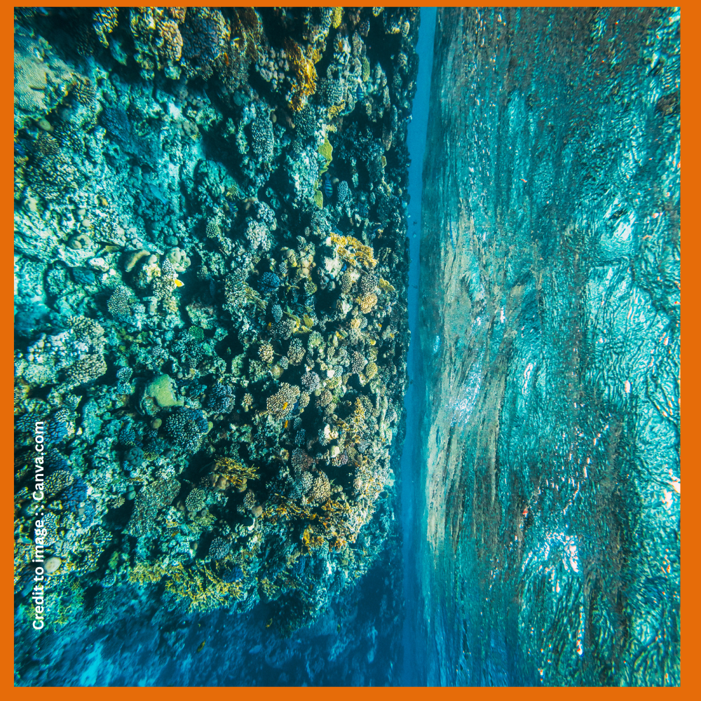Red Sea- Prakriti Darshan-Nature and Environment Magazine