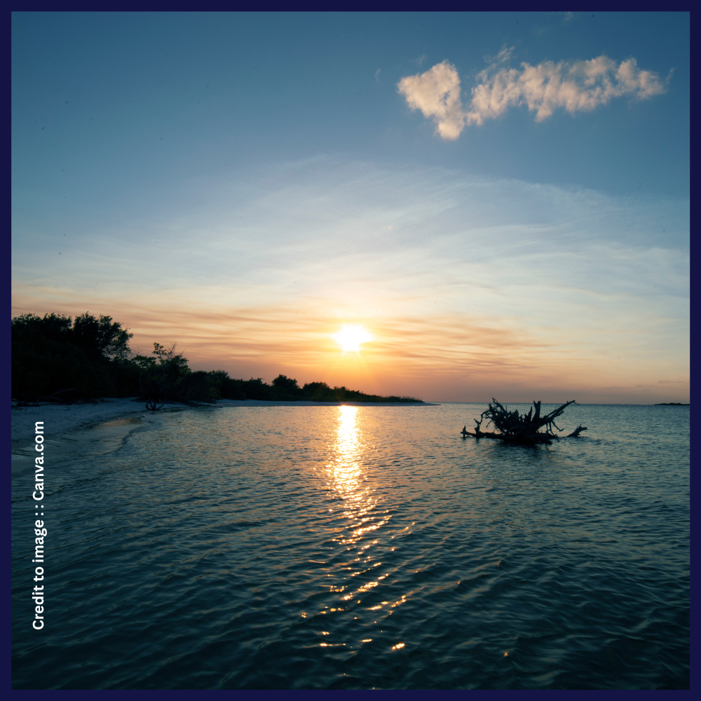 Brahmaputra River- Prakriti Darshan- Nature and Environment Magazine 
