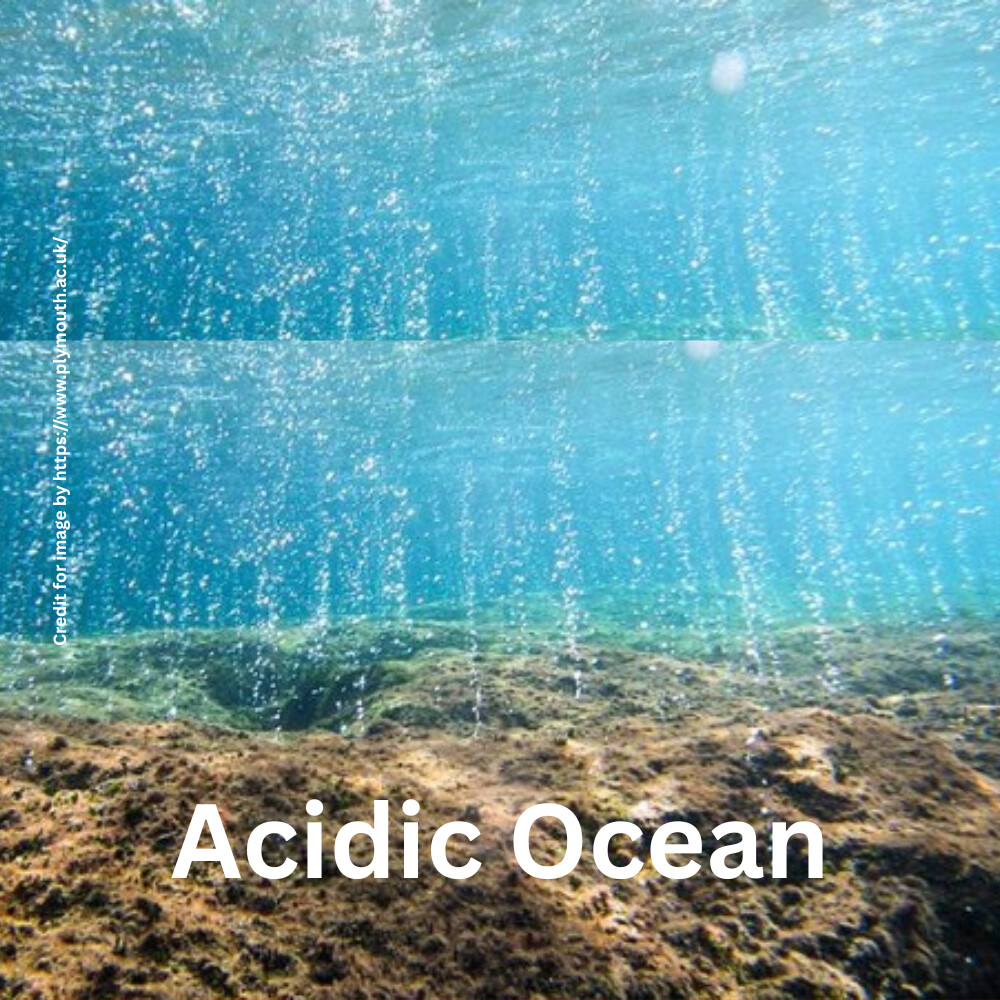 Acidic Ocean- Prakriti Darshan- Nature and Environment Magazine