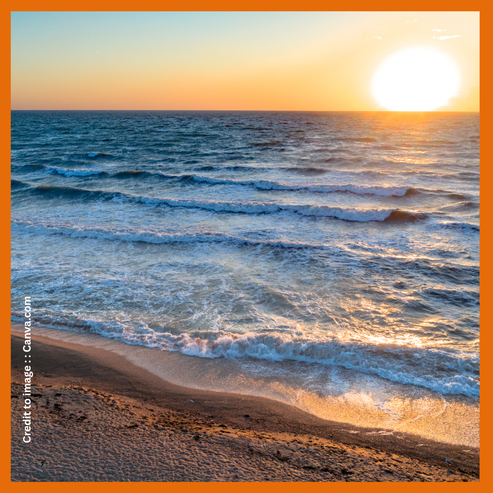 Red Sea- Prakriti Darshan-Nature and Environment Magazine
