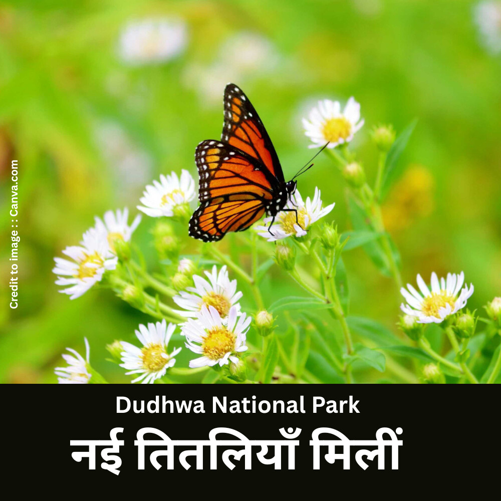 " Dudhwa National Park" - Prakriti Darshan- Nature and Environment Magazine