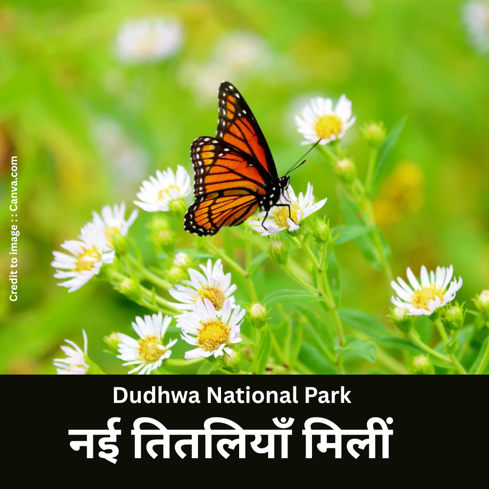 " Dudhwa National Park" - Prakriti Darshan- Nature and Environment Magazine