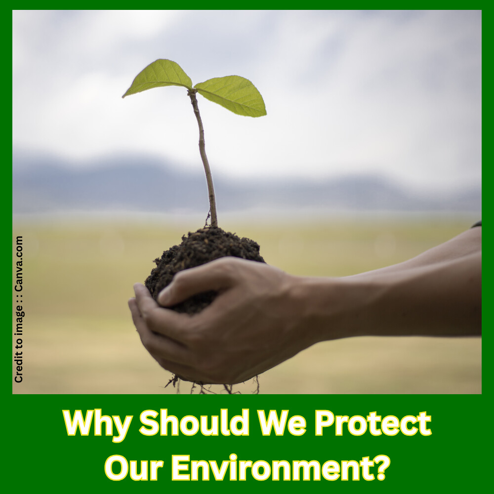 Why Should We Protect Our Environment?-Prakriti Darshan Nature and Environment Magazine