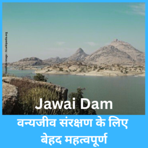 Jawai Dam- Prakriti Darshan Nature and Environment Magazine