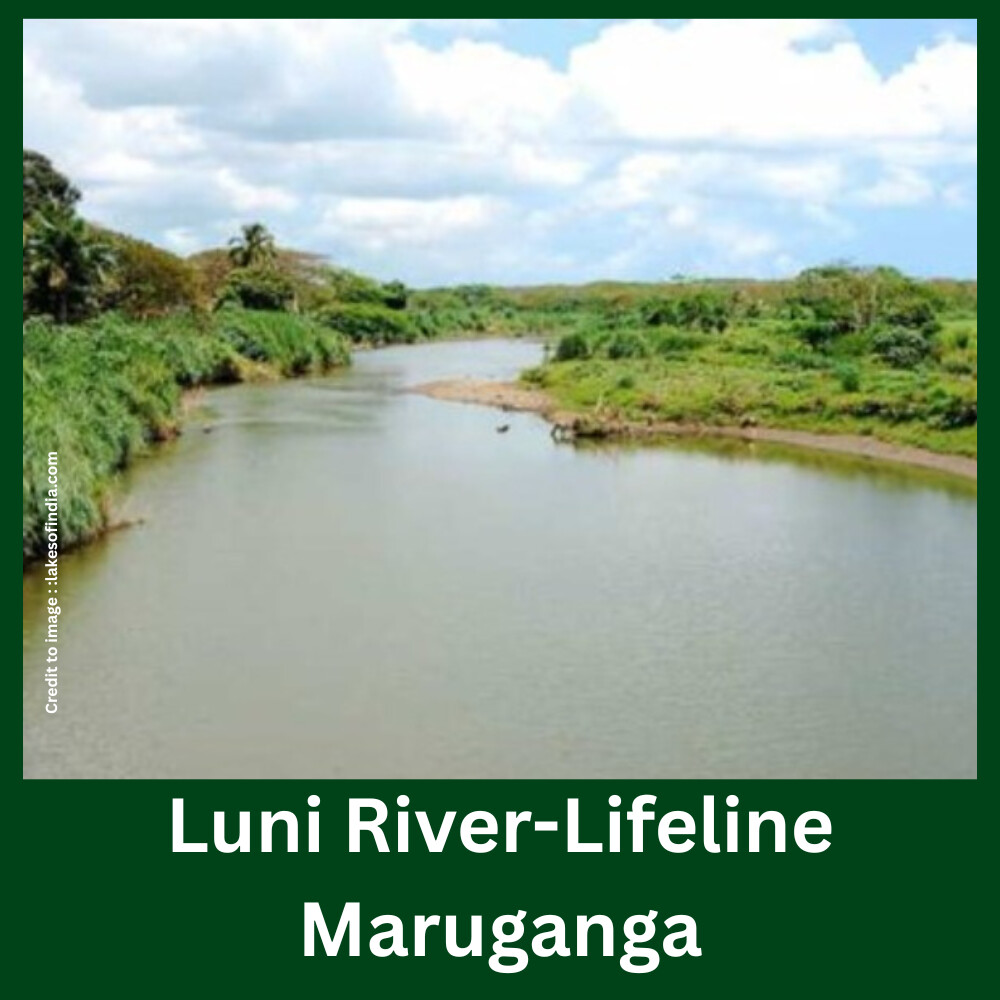 Luni River-Lifeline Maruganga- Prakriti Darshan- Nature and Environment Magazine