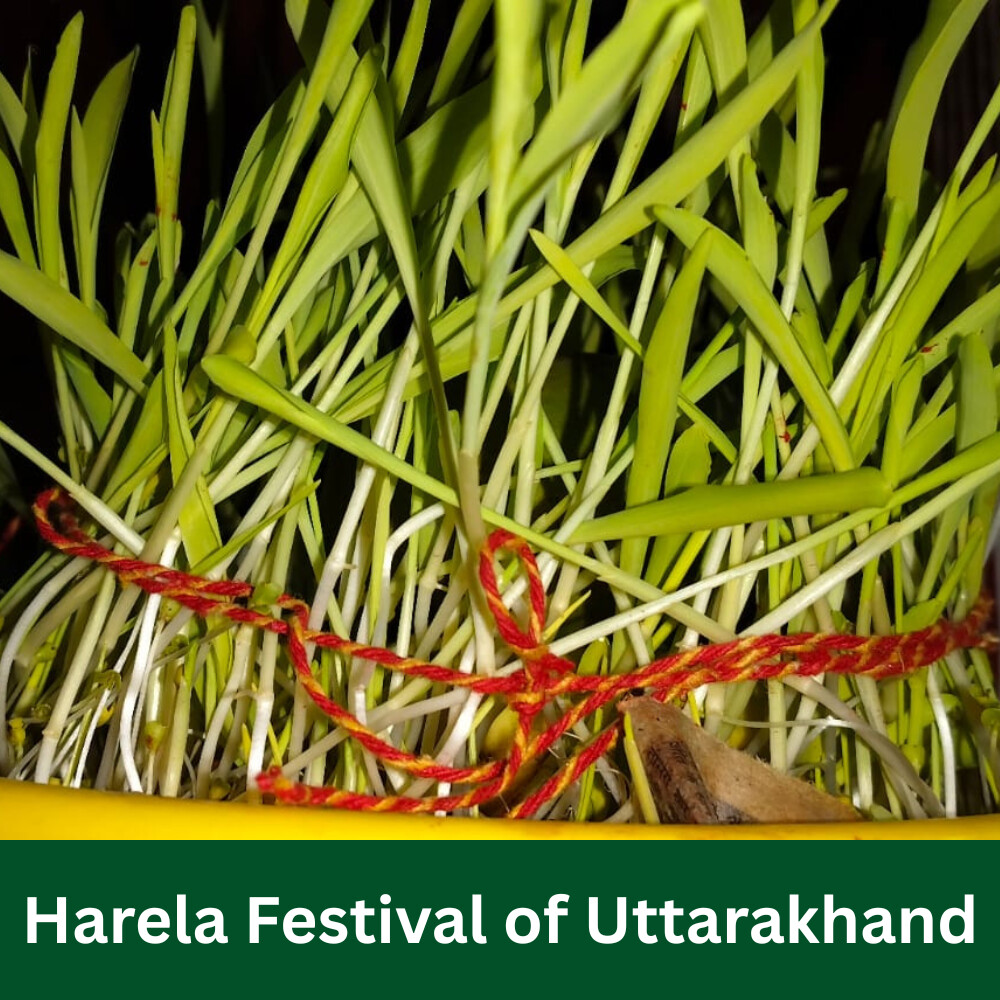 Harela Festival of Uttarakhand- Nature and Environment Magazine