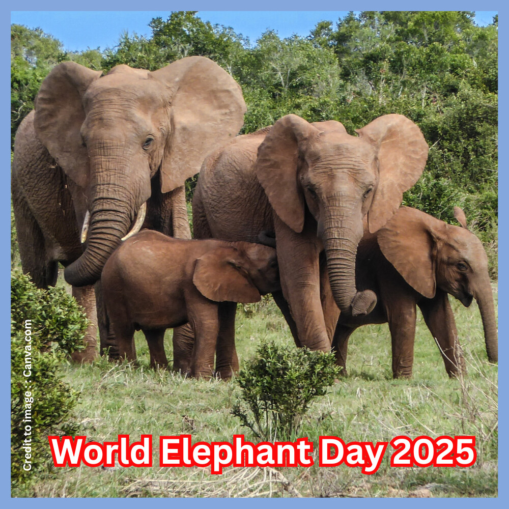 World Elephant Day 2025- Prakriti Darshan- Nature and Environment Magazine
