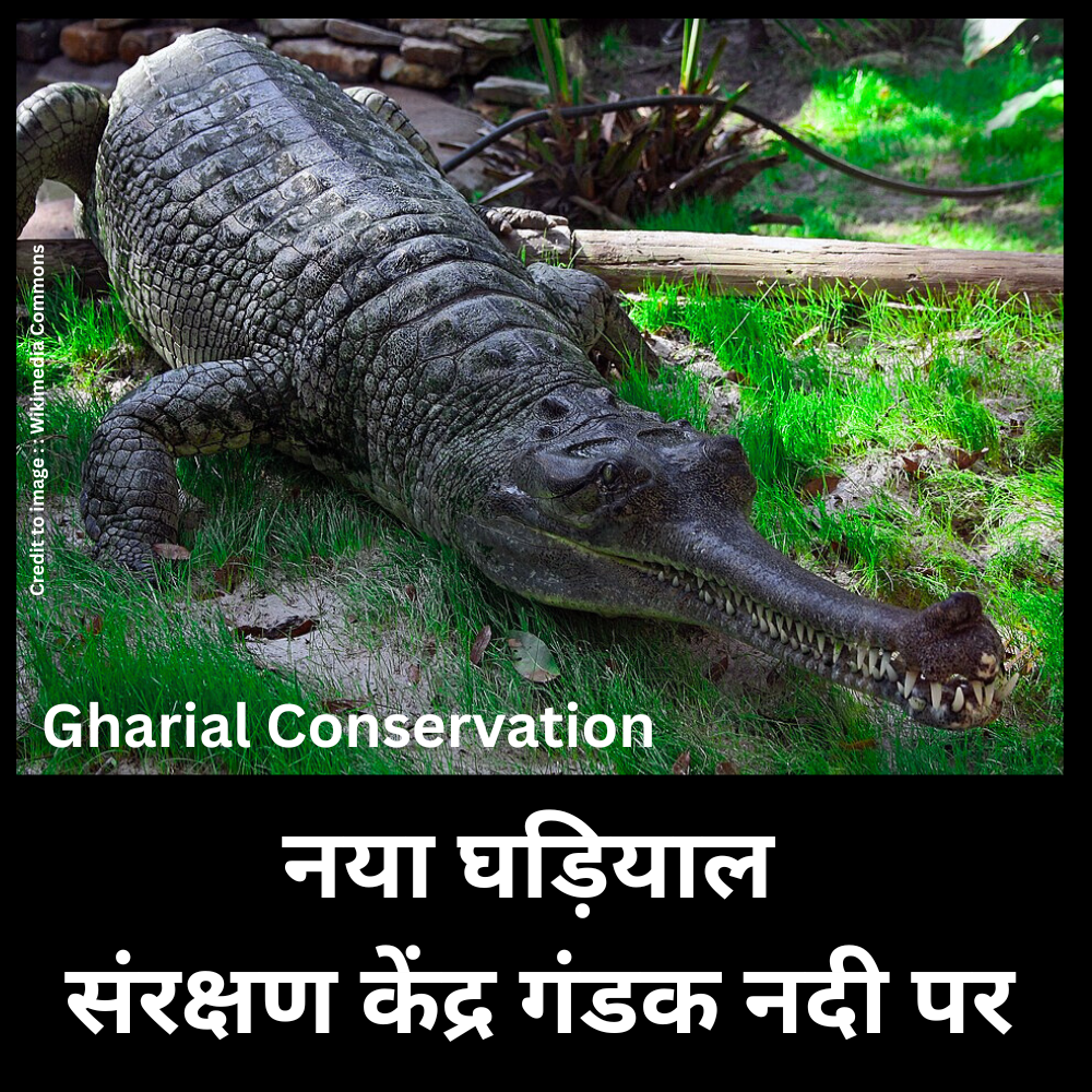 Gharial Conservation- Prakriti Darshan- Nature and Environment Magazine