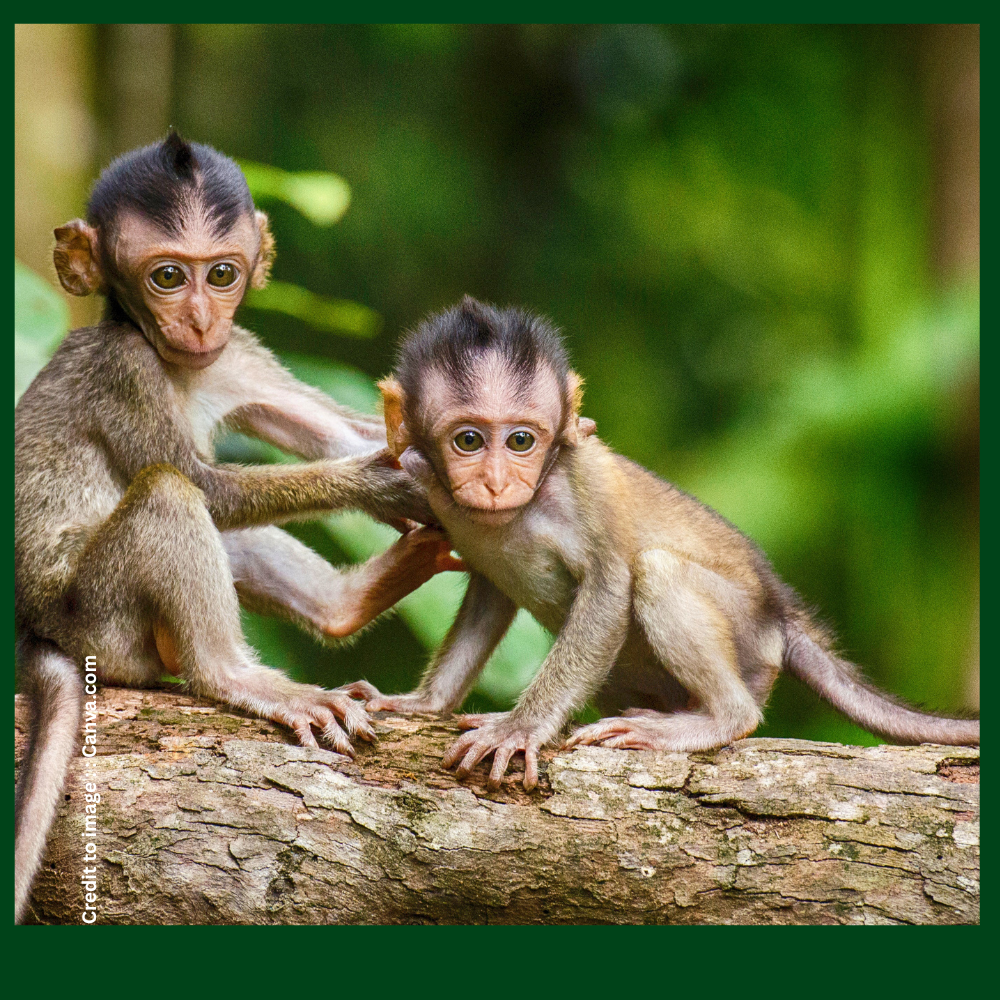 Voices to Protect Biodiversity- Prakriti Darshan Nature and Environment Magazine