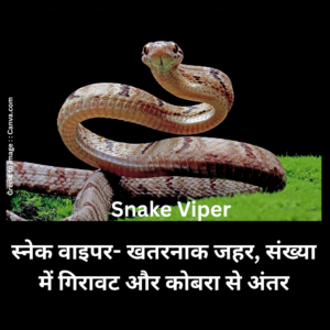 Snake Viper -Prakriti Darshan Nature and Environment Magazine