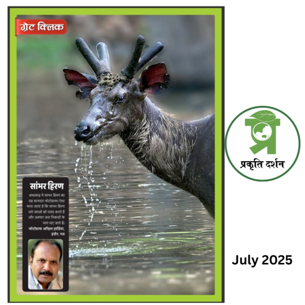 Monsoon- Prakriti Darshan- Nature and Environment Magazine