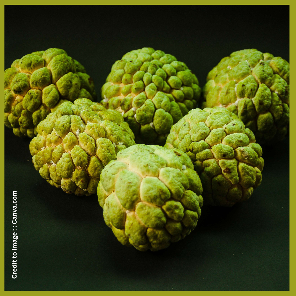 Custard Apple- Prakriti Darshan Nature and Environment Magazine