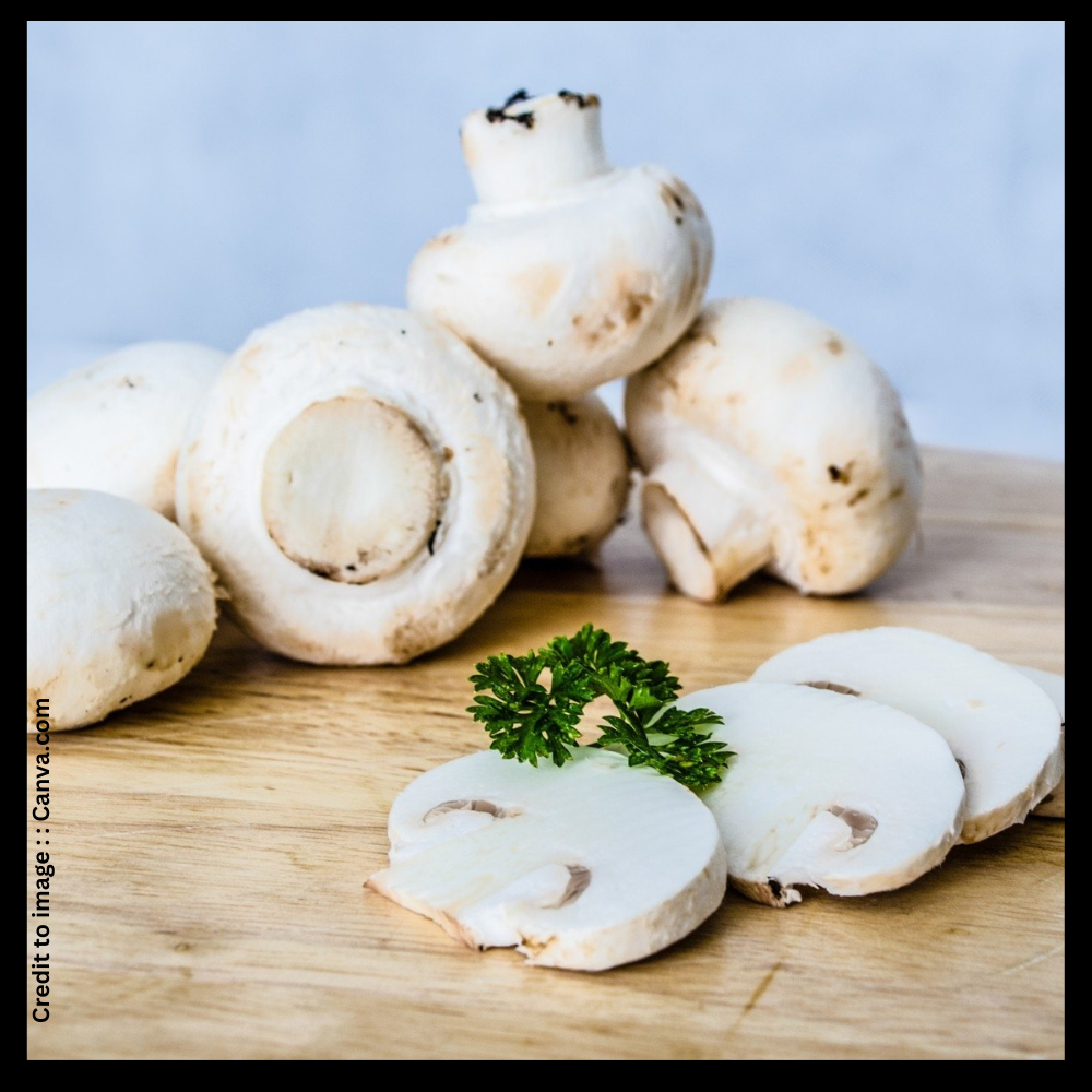 Mushroom- Prakriti Darshan- Nature and Environment Magazine