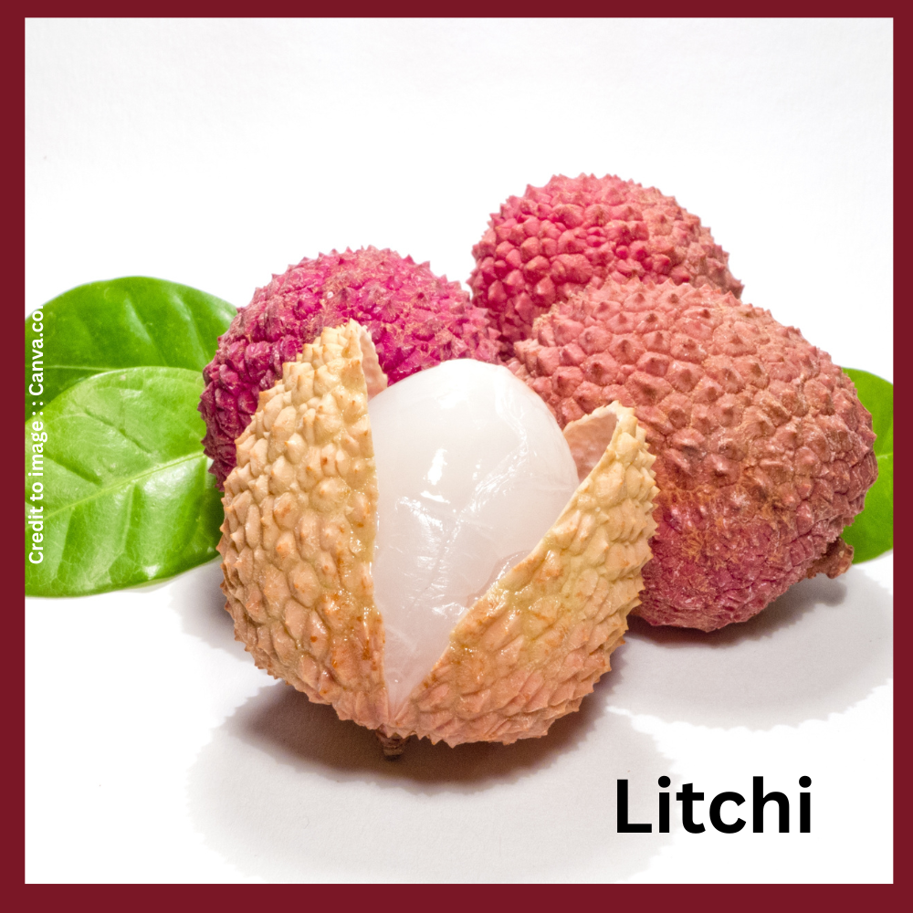 Litchi- Prakriti Darshan- Nature and Environment Magazine 
