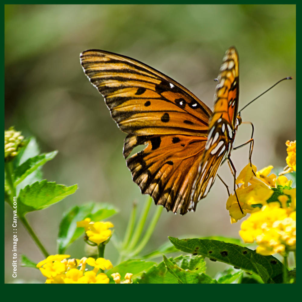 Voices to Protect Biodiversity- Prakriti Darshan Nature and Environment Magazine