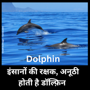Dolphin -Prakriti Darshan Nature and Environment Magazine