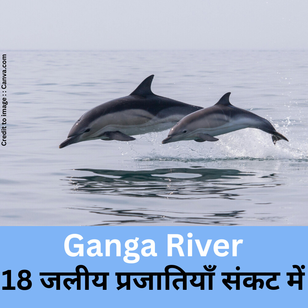 Ganga River- Prakriti Darshan Nature and Environment Magazine
