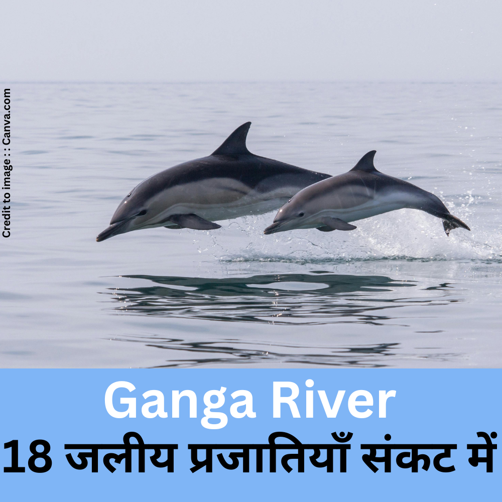 Ganga River- Prakriti Darshan Nature and Environment Magazine