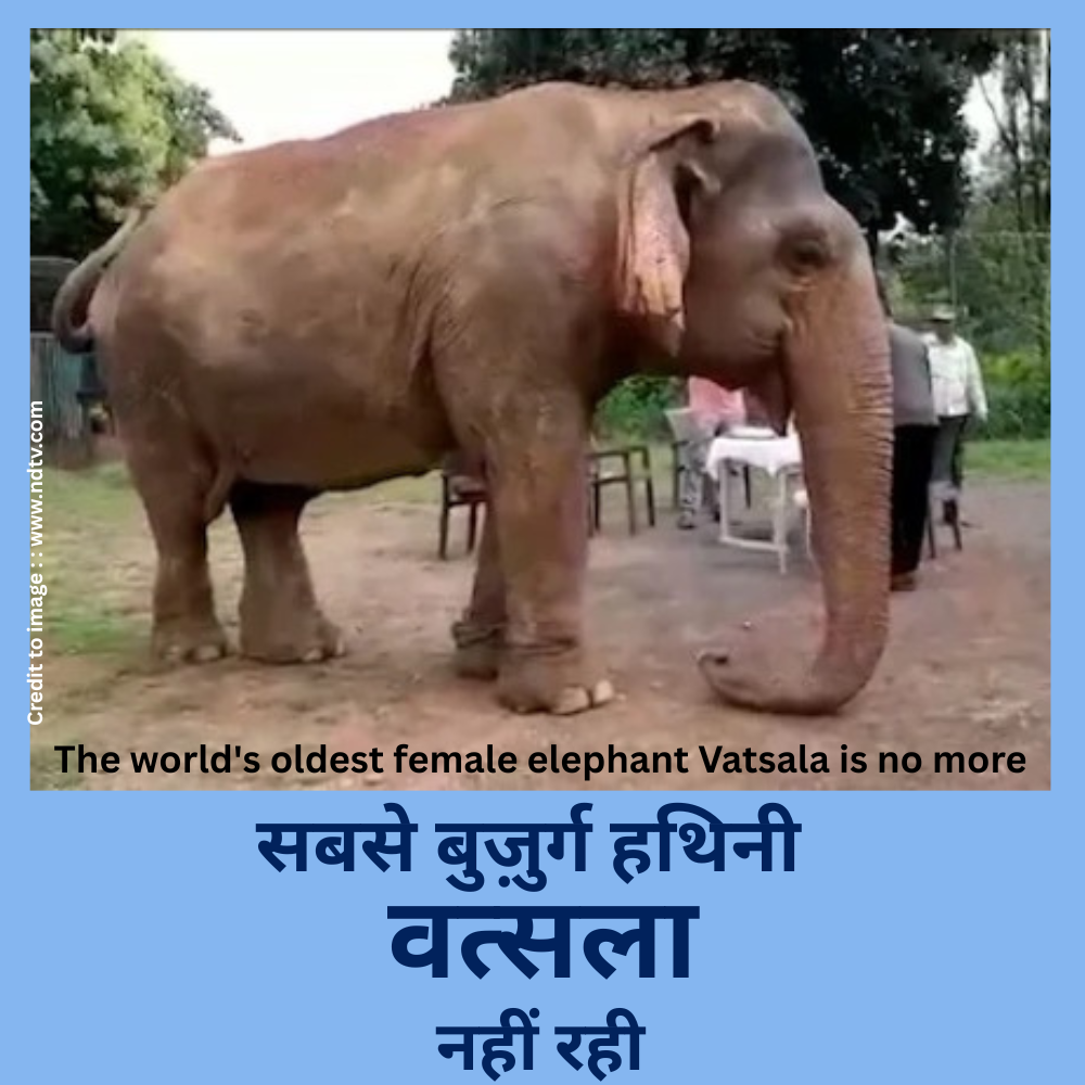 Vatsala' of Panna Tiger Reserve- Prakriti Darshan-Nature and Environment Magazine