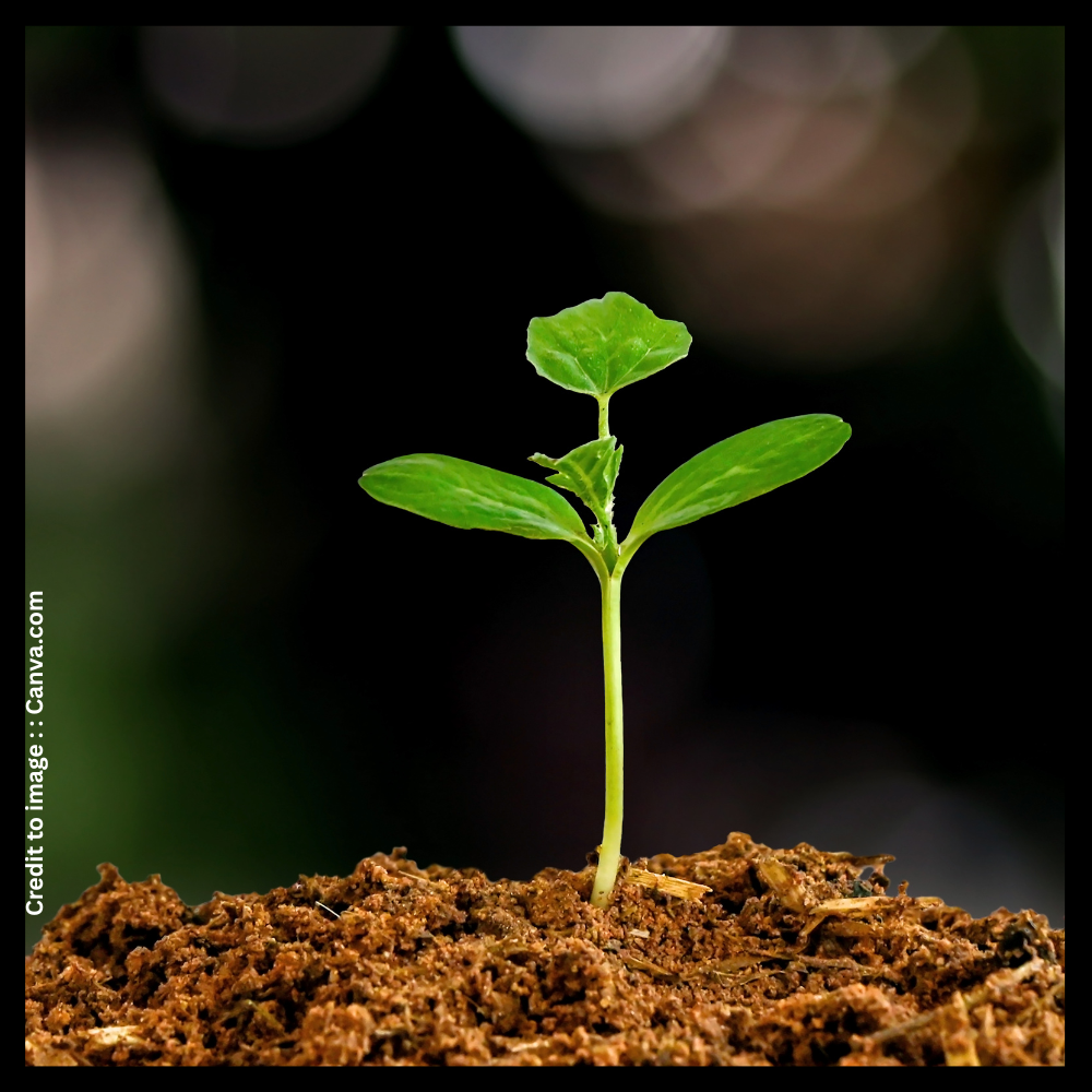 Plant Conservation Scheme - Prakriti Darshan- Nature and Environment Magazine 