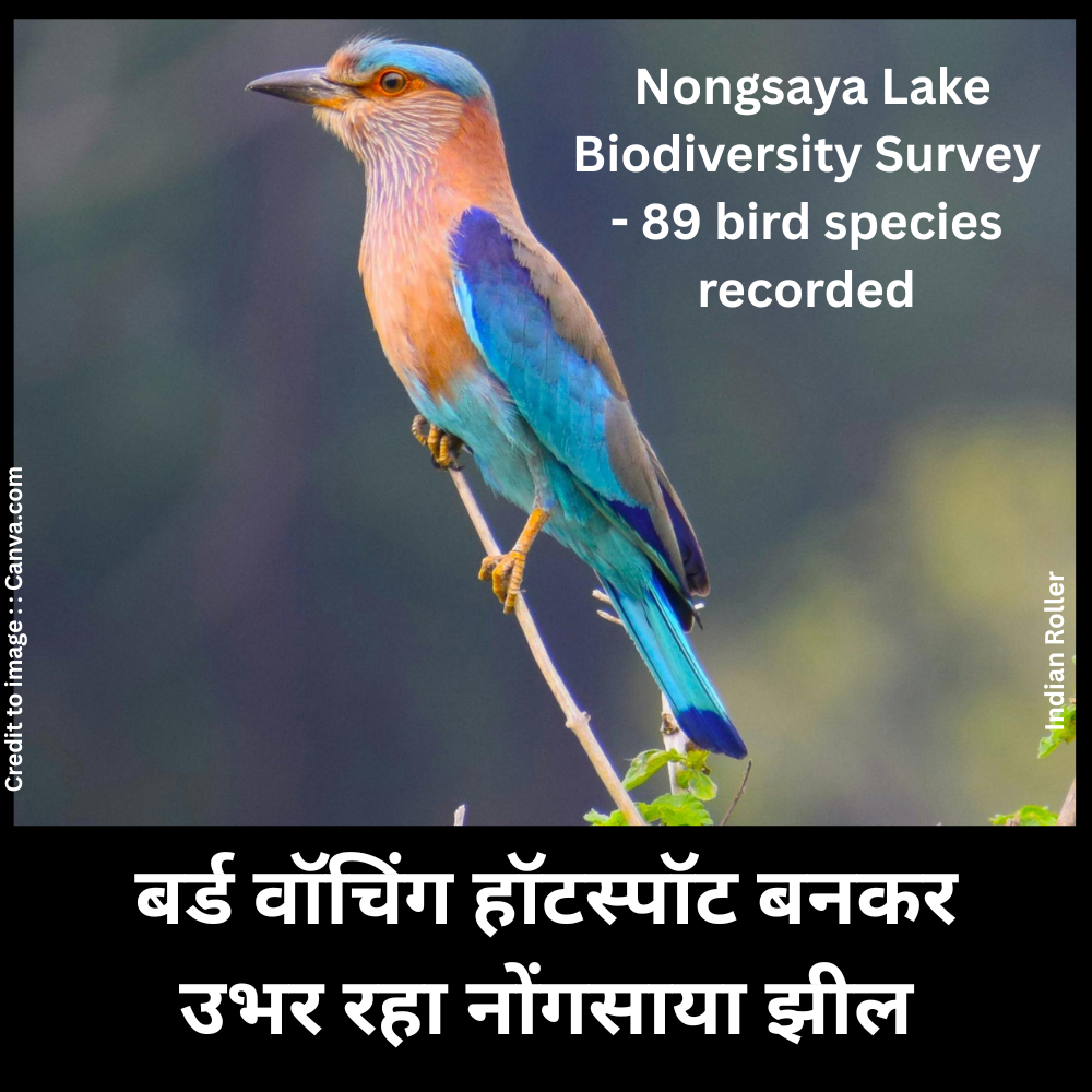 Nongsaya Lake Biodiversity Survey- Prakriti Darshan- Nature and Environment Magazine