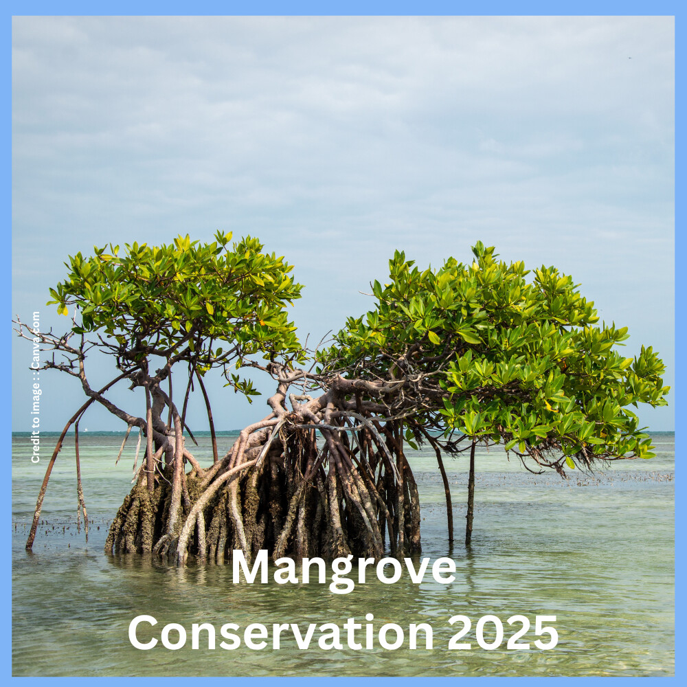 Mangrove Conservation 2025- Prakriti Darshan Nature and Environment Magazine