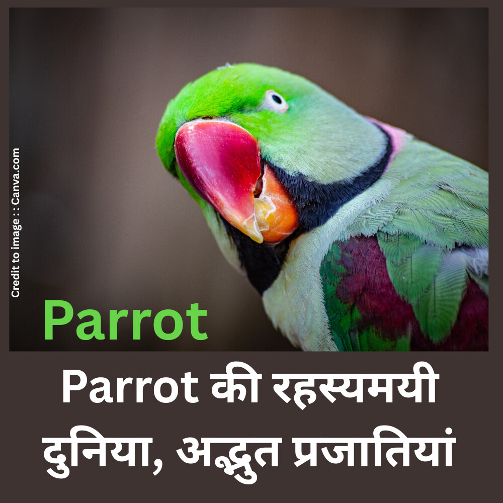 Parrot -Prakriti Darshan Nature and Environment Magazine