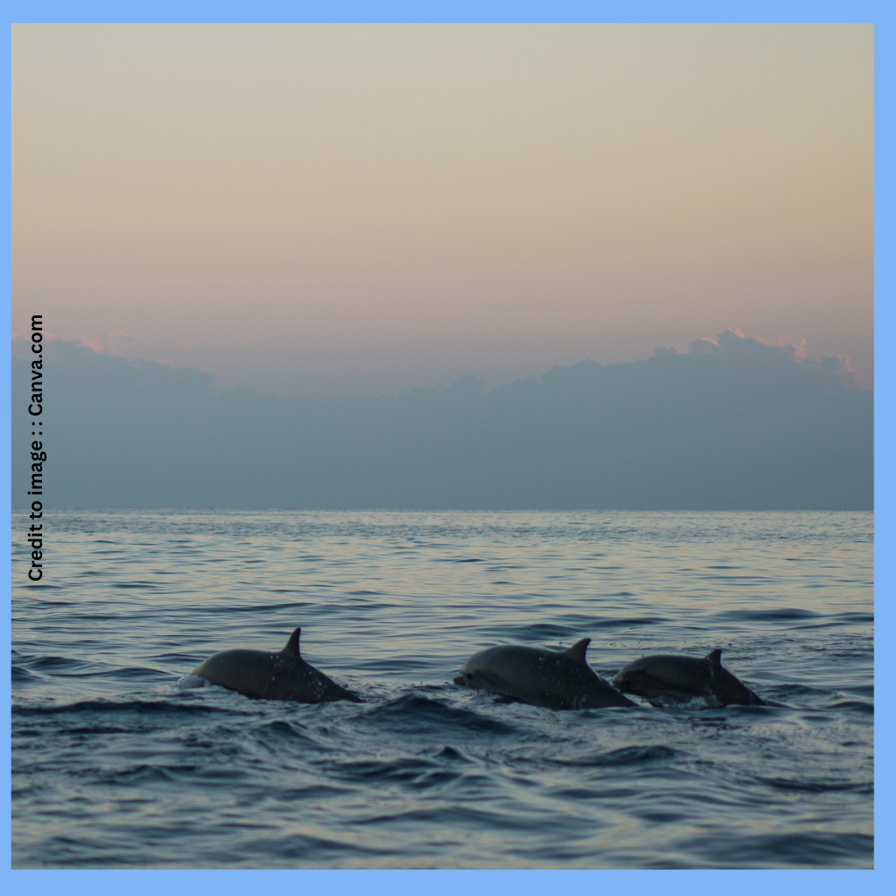 Ganga River- Prakriti Darshan Nature and Environment Magazine