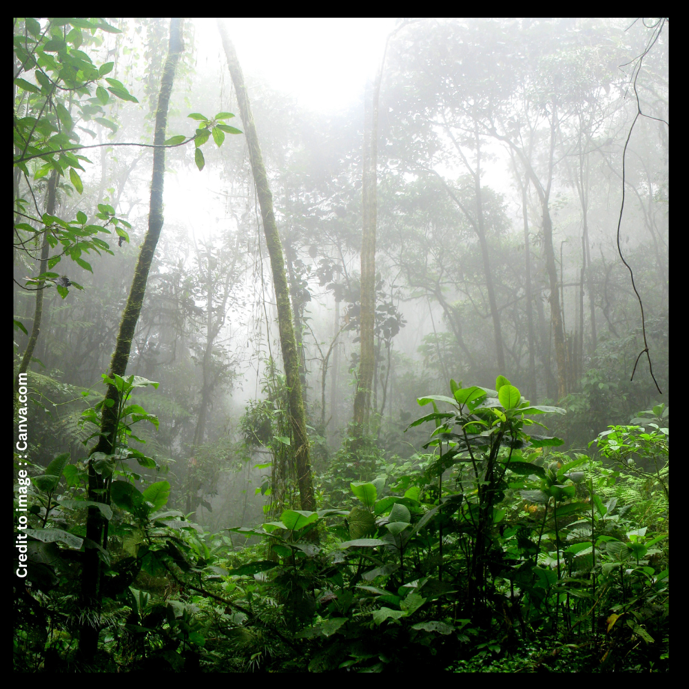 Plant Conservation Scheme - Prakriti Darshan- Nature and Environment Magazine 