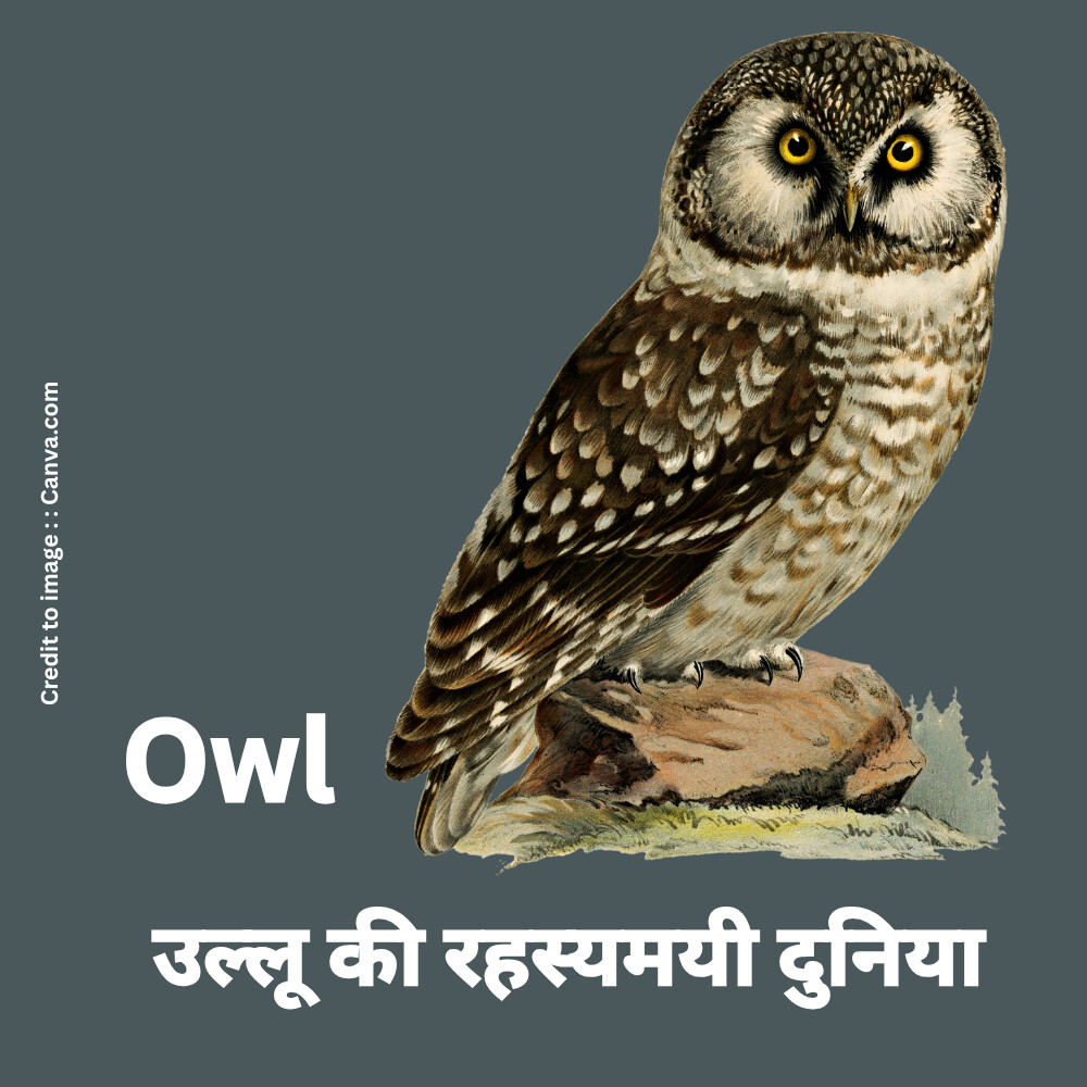 Owl-Prakriti Darshan Nature and Environment Magazine