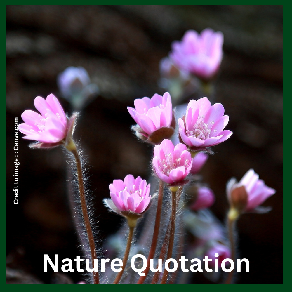 Nature Quotation-Prakriti Darshan- Nature and Environment Magazine