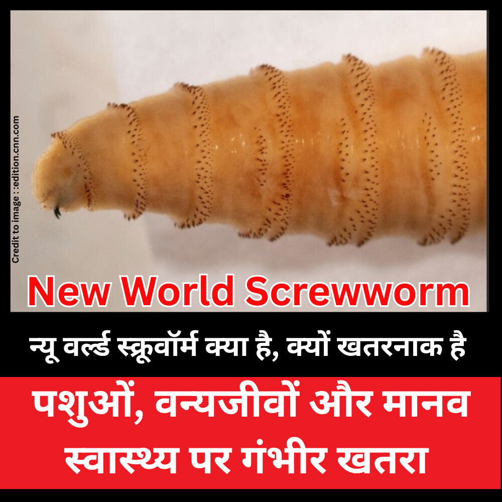 New World Screwworm Outbreak -Prakriti Darshan Nature and Environment Magazine