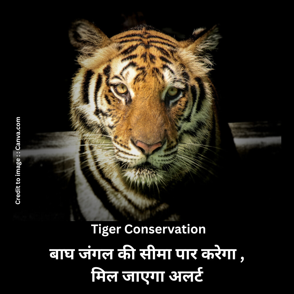 Tiger Conservation-Prakrit Darshan-Nature and Environment Magazine