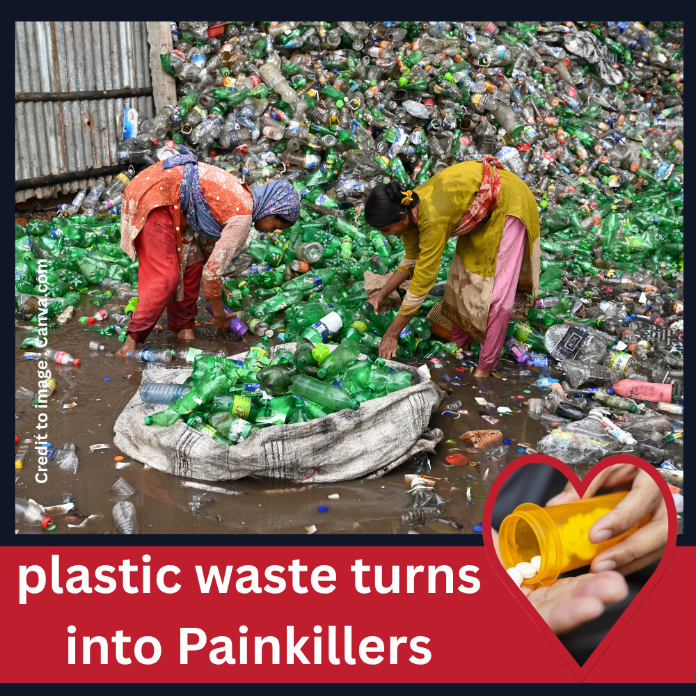 Plastic Waste turns into Painkillers- Prakriti Darshan- Nature and Environment Magazine