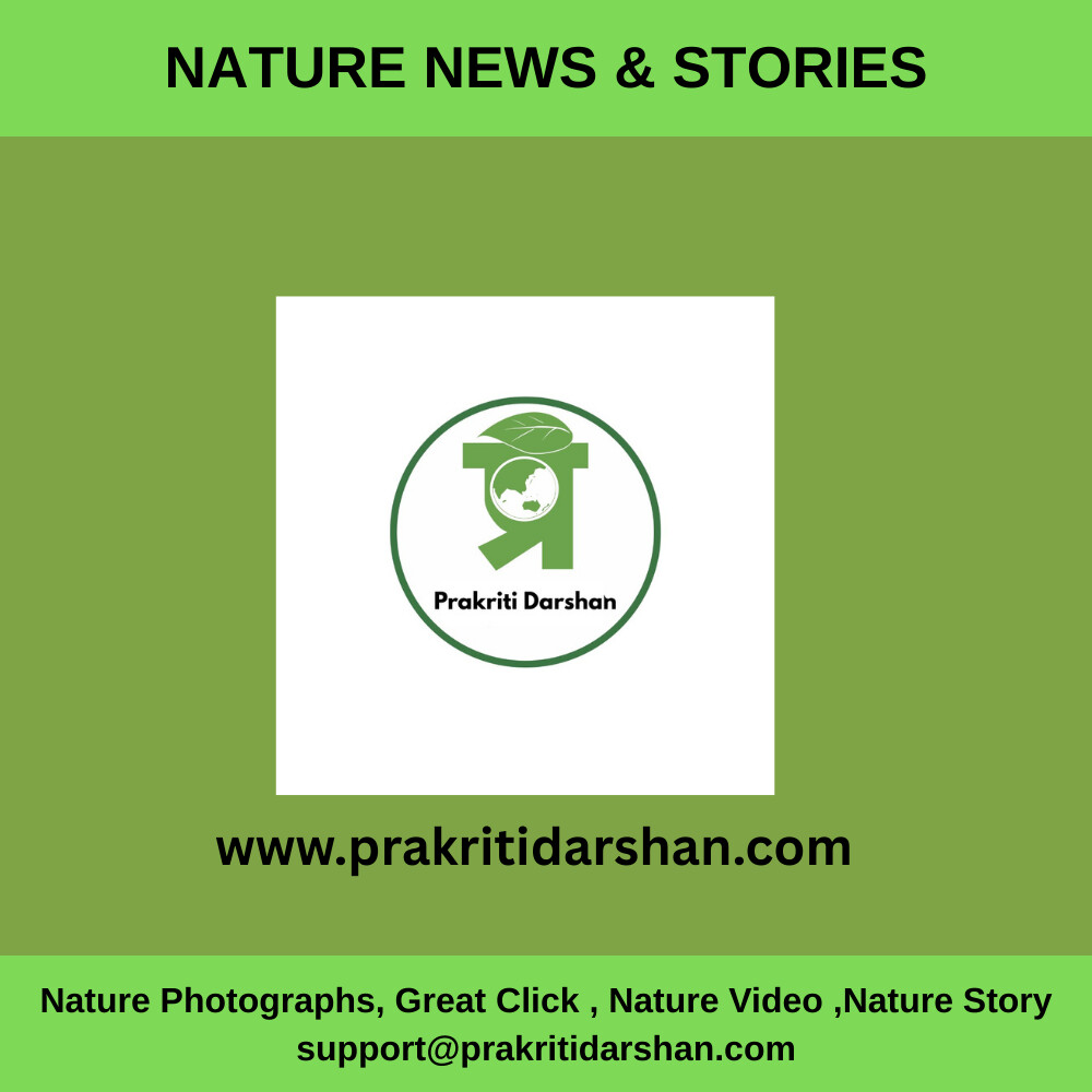 Nature News: Prakriti Darshan Nature and Environment Magazine