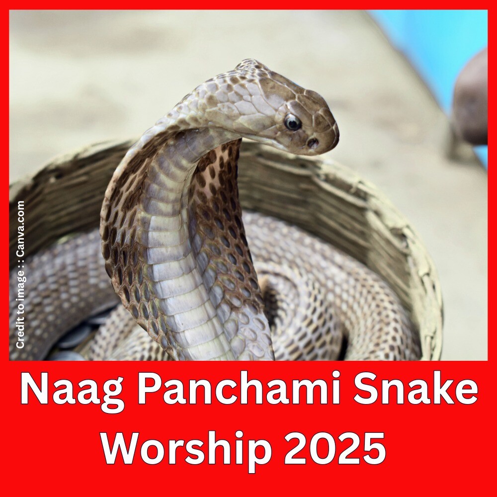 Naag Panchami Snake Worship