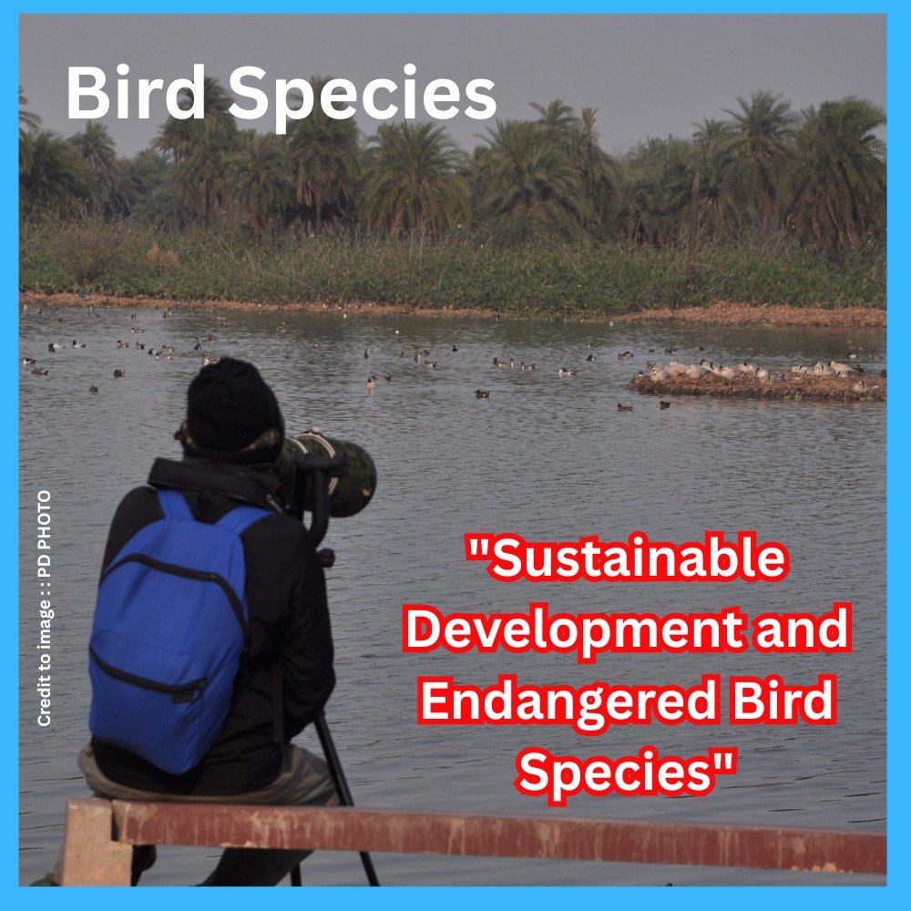 Sustainable Development and Endangered Bird