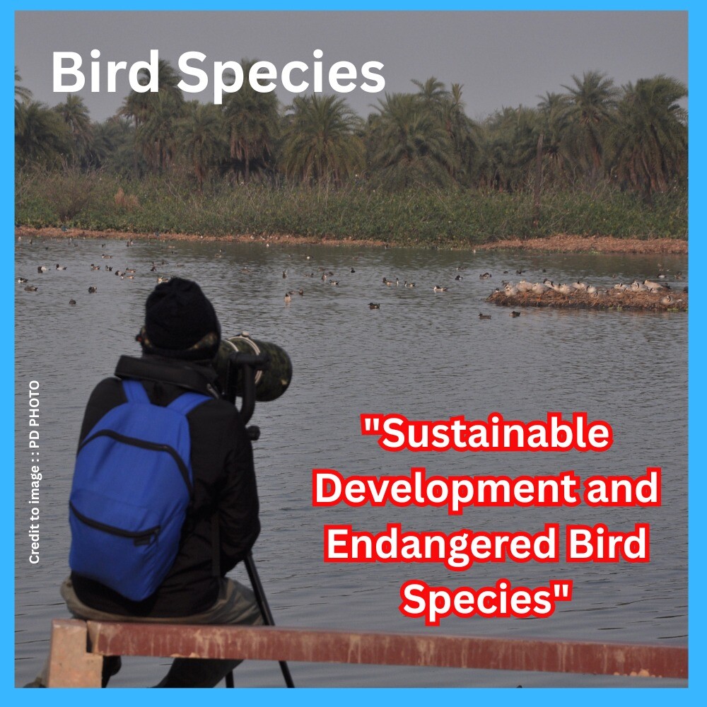 Sustainable Development and Endangered Bird