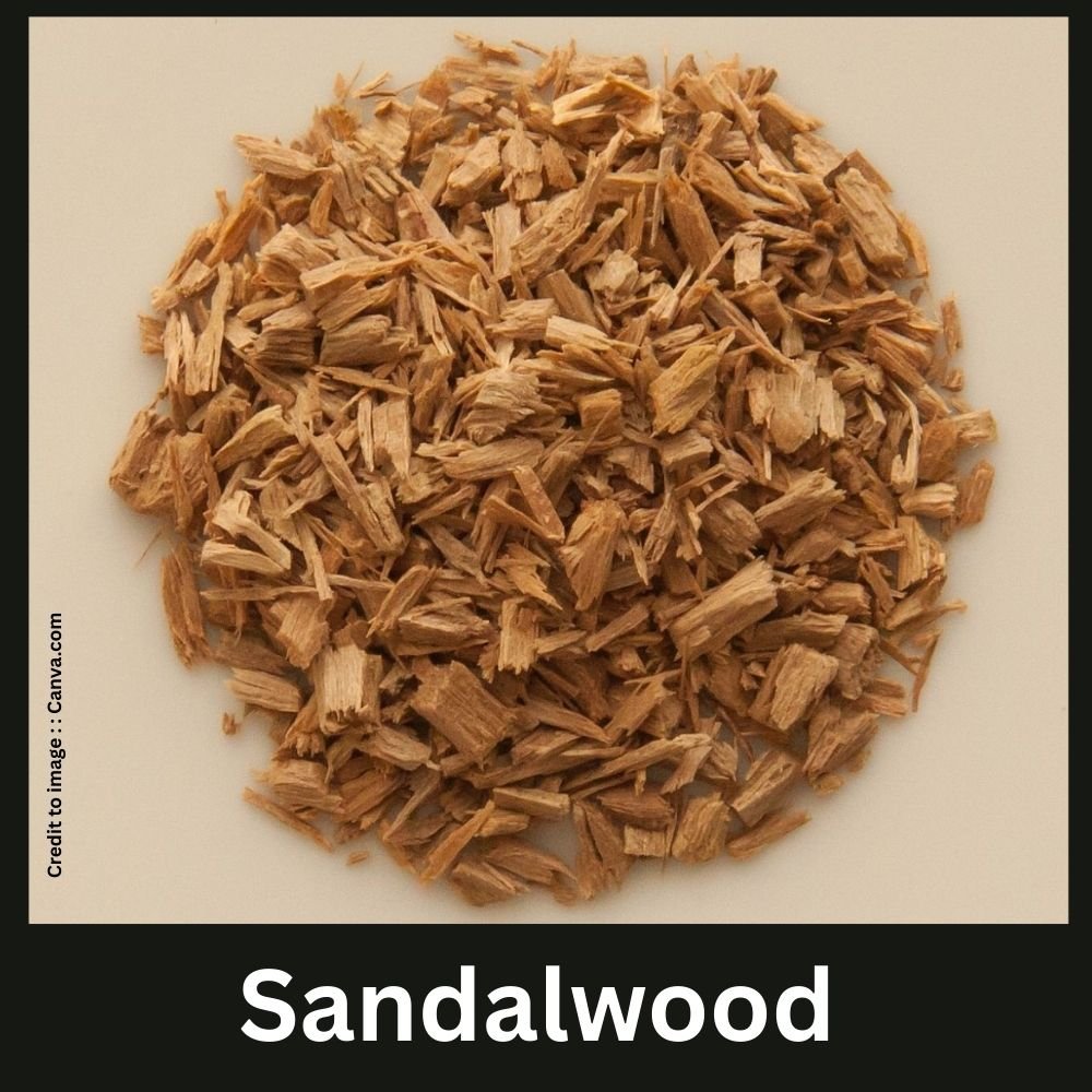 Sandalwood - Prakriti Darshan Nature and Environment Magazine
