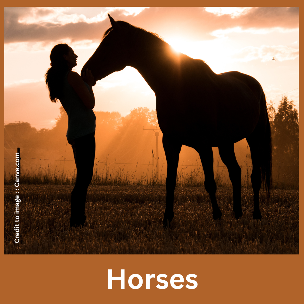 Horses - Prakriti Darshan Nature and Environment Magazine