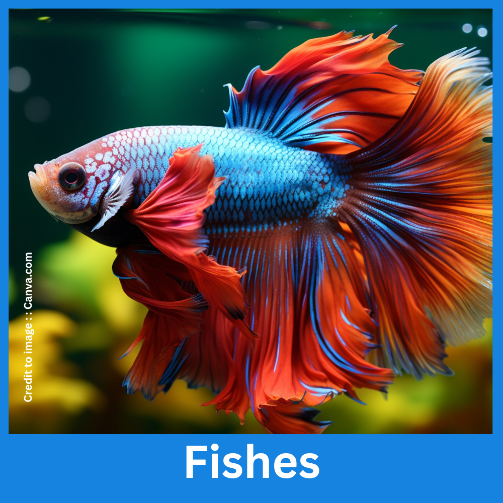 Fishes - Prakriti Darshan Nature and Environment Magazine