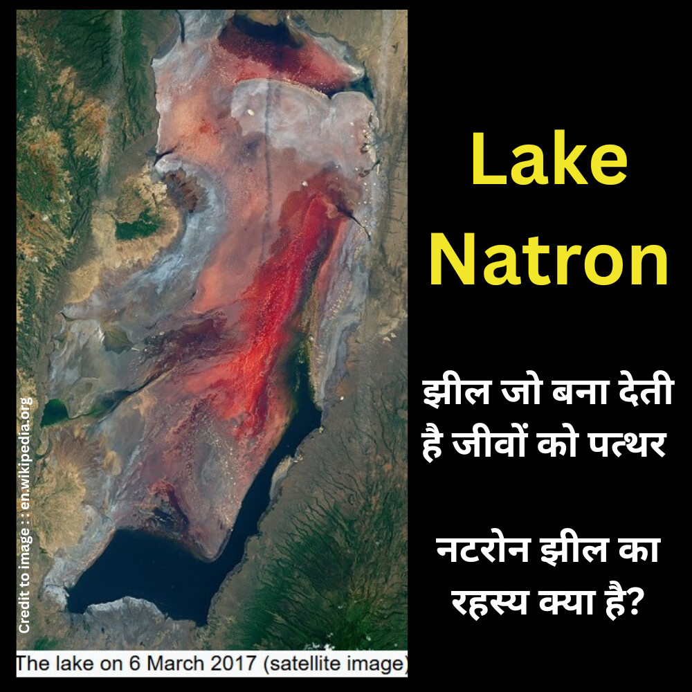 Lake Natron -Prakriti Darshan Nature and Environment Magazine